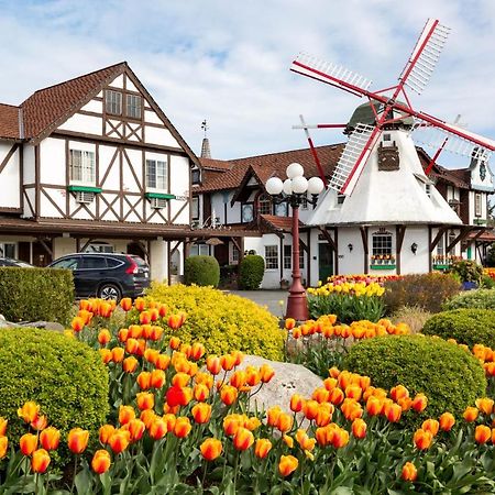 Auld Holland Inn Oak Harbor Ngoại thất bức ảnh